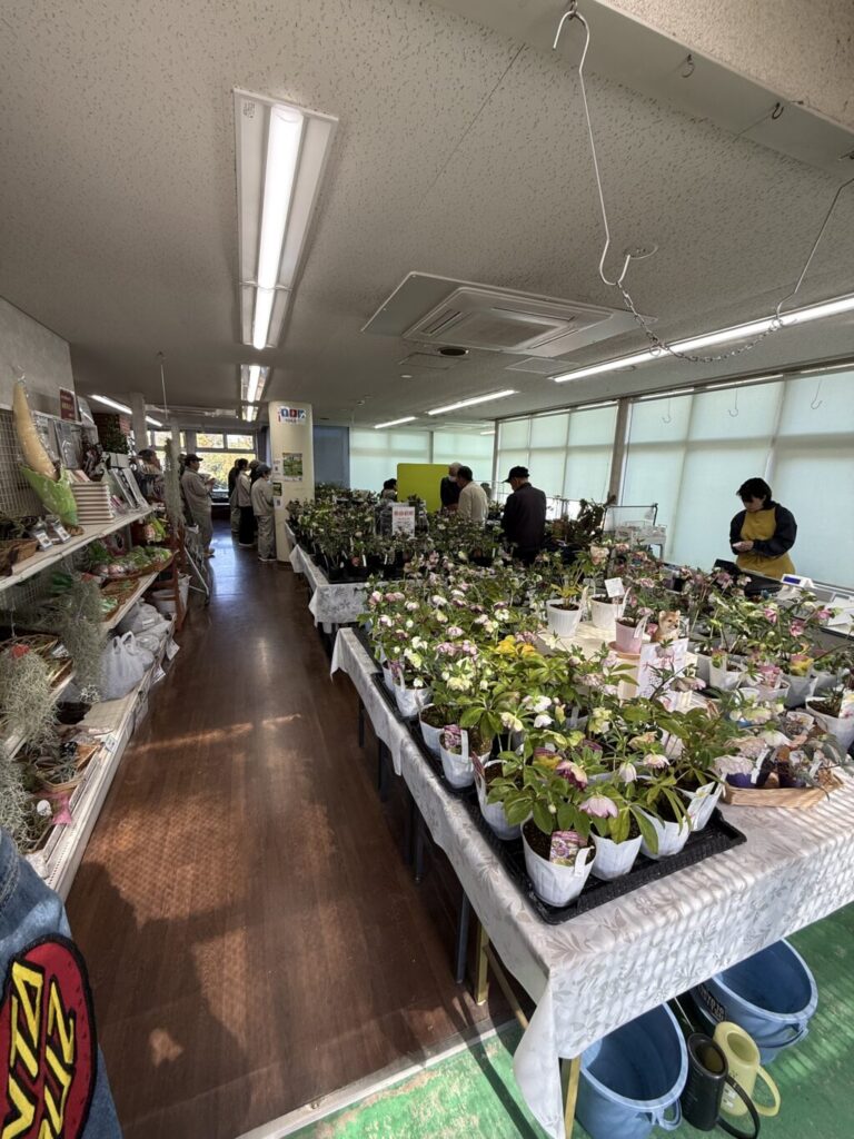 手柄山温室植物園